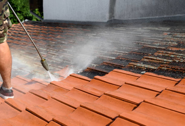 Best Affordable Power Washing  in Markesan, WI