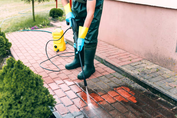 Best Roof Power Washing Services  in Markesan, WI